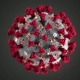 Yeni Tip Koronavirüs - 1